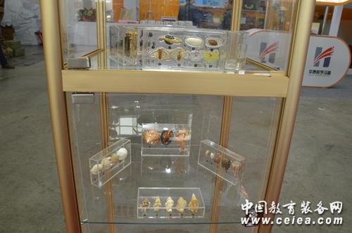 第70届中国教育装备展 栖霞市弘儒生物亮相(图4)
