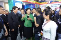刘延东参观大唐网络生态区展台