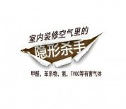 如何解决室内装修污染
