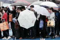 本来冒雨来看家具的 看到的都是“人从众”