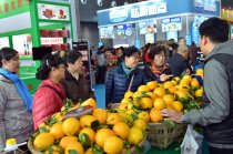 中国中部(湖南)农业博览会